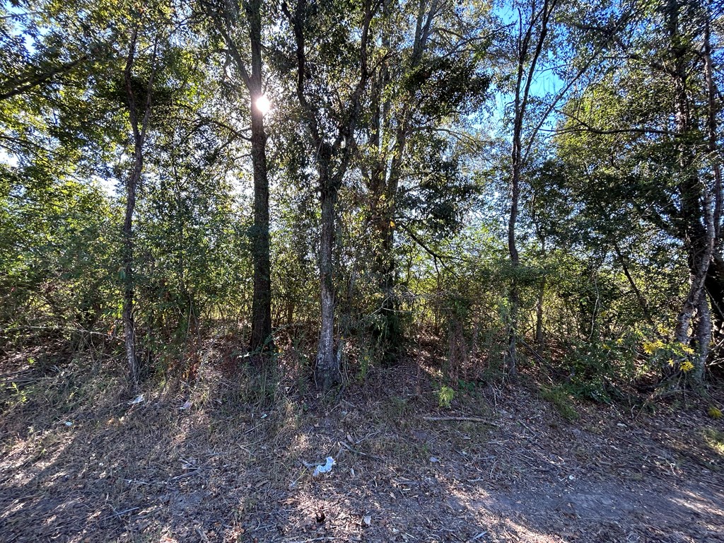 4.297+-ac Lot 3, Willie Varnum Rd, Cottonwood, Alabama image 9