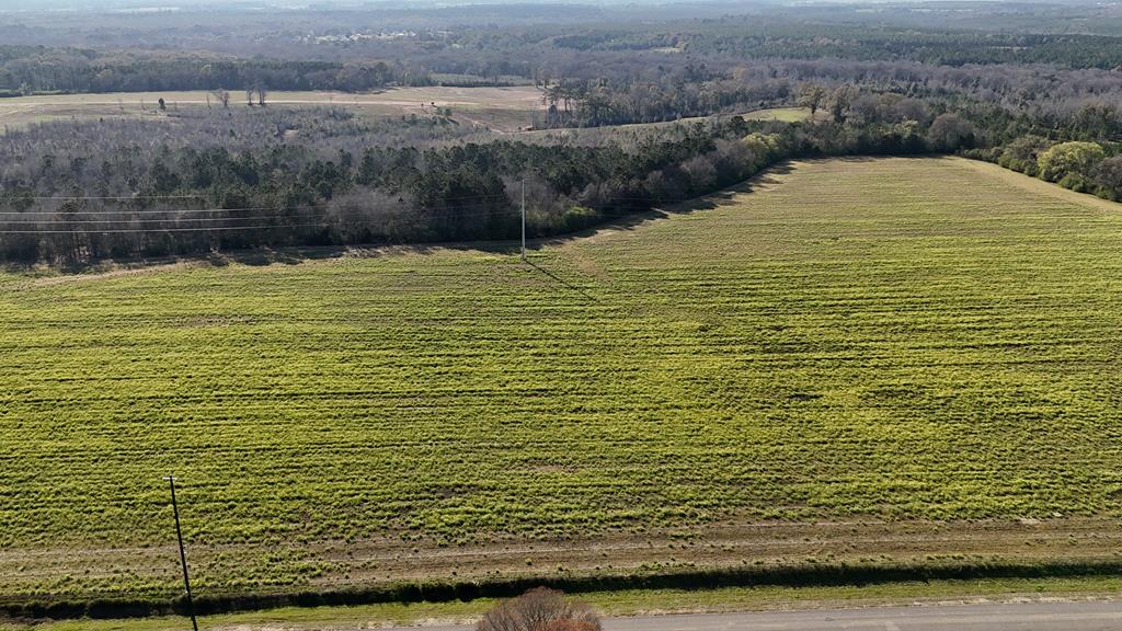 Lot 7 Gilley Mill Road, Webb, Alabama image 1