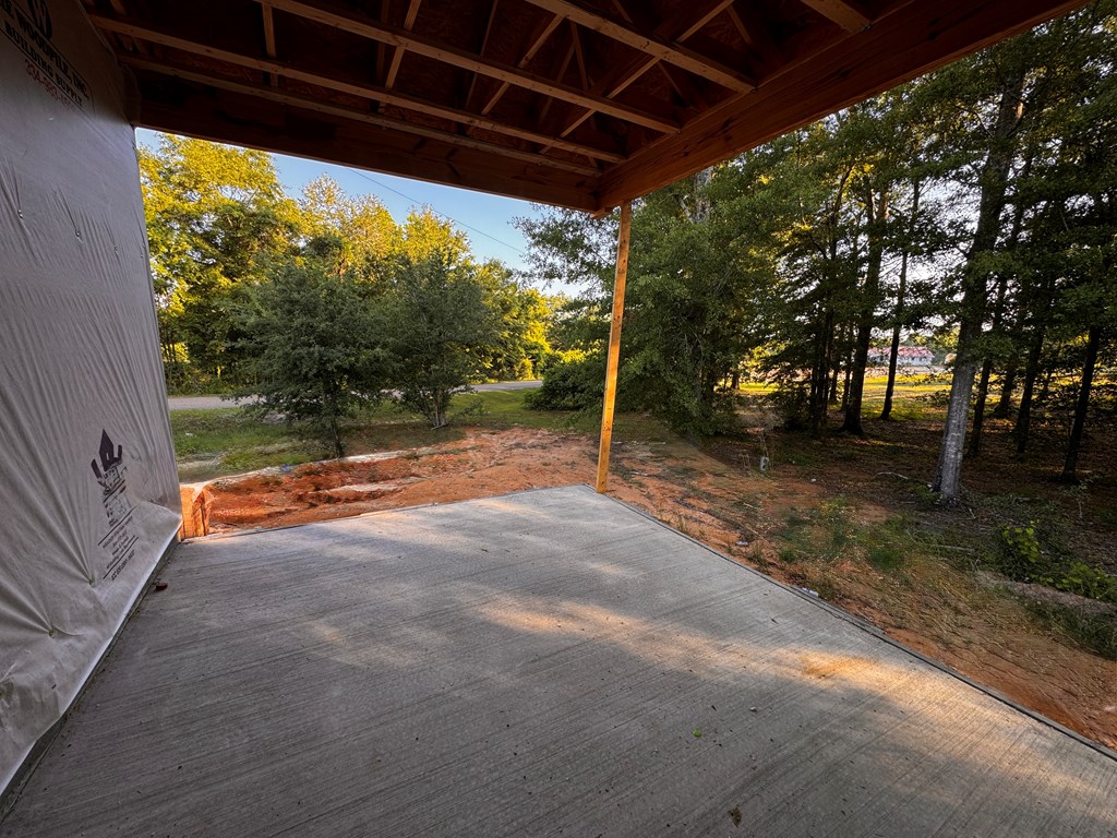 2465 Jordan Ave, Cowarts, Alabama image 9