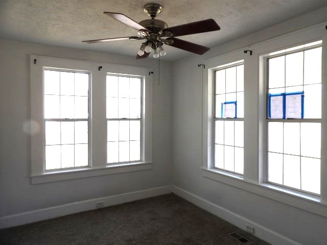 528 Newton Avenue, Ozark, Alabama image 7