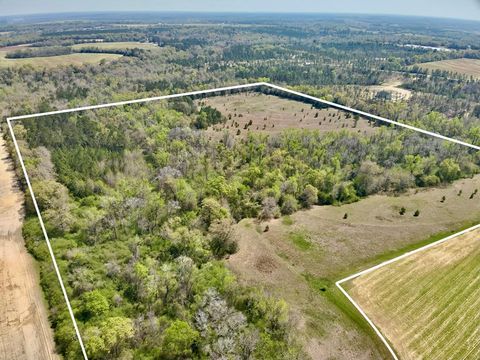 Vacant Land For Sale - 50 ACRES Dillard Road<br/> Pansey, AL 36370