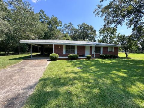 Homes For Sale - 133 Harris Ave<br/> Slocomb, AL 36375