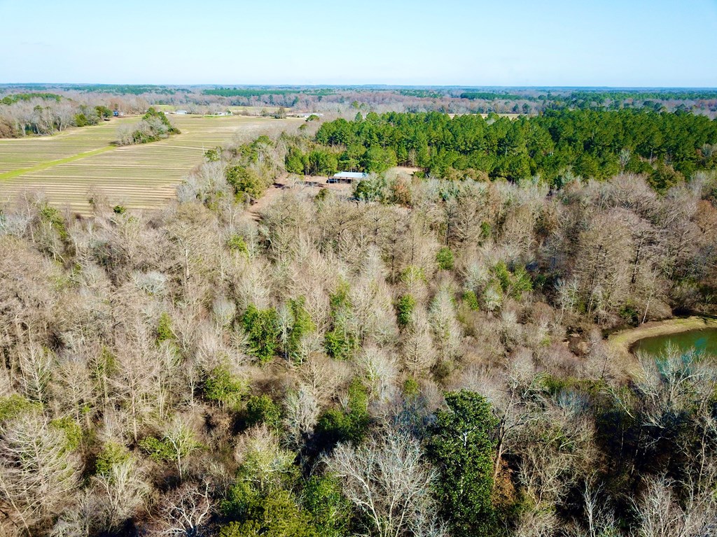 5345 Lucy Grade    19 Acres, Ashford, Alabama image 28