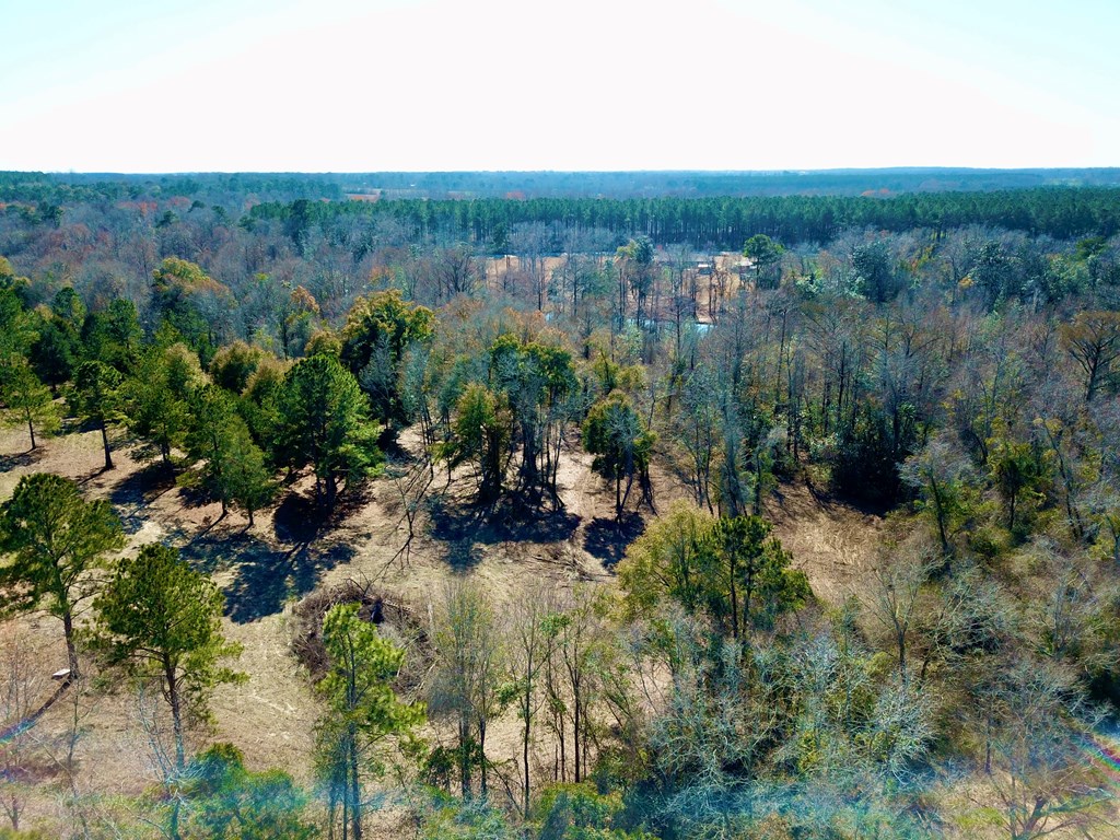 5345 Lucy Grade    19 Acres, Ashford, Alabama image 31