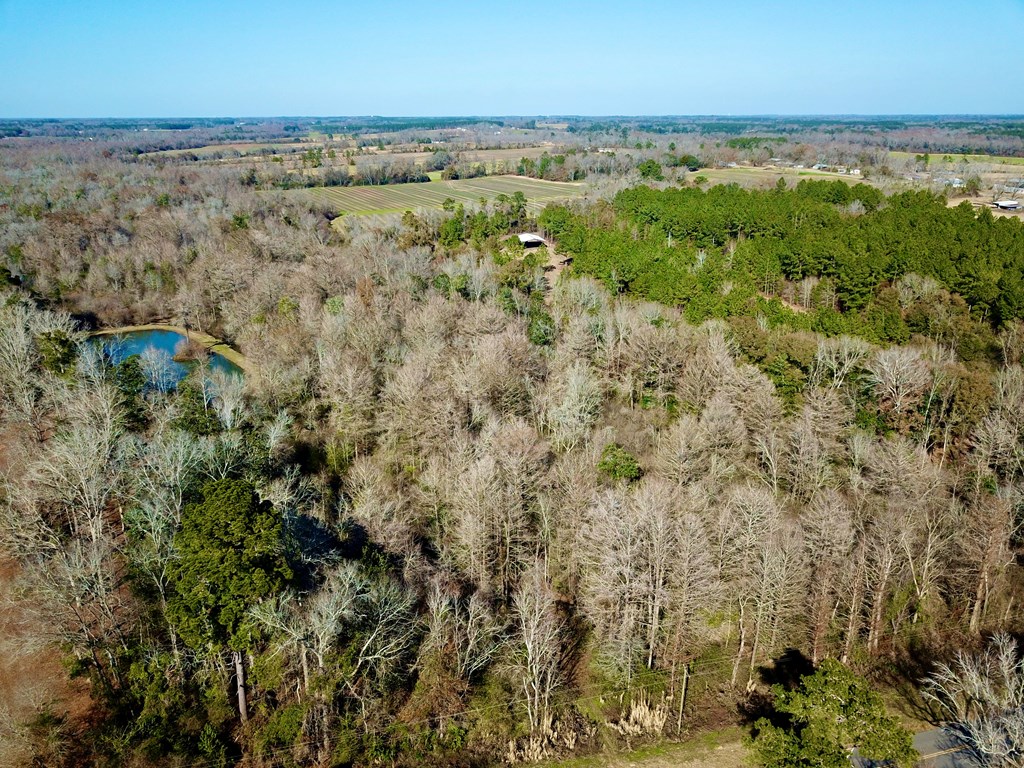 5345 Lucy Grade    19 Acres, Ashford, Alabama image 26