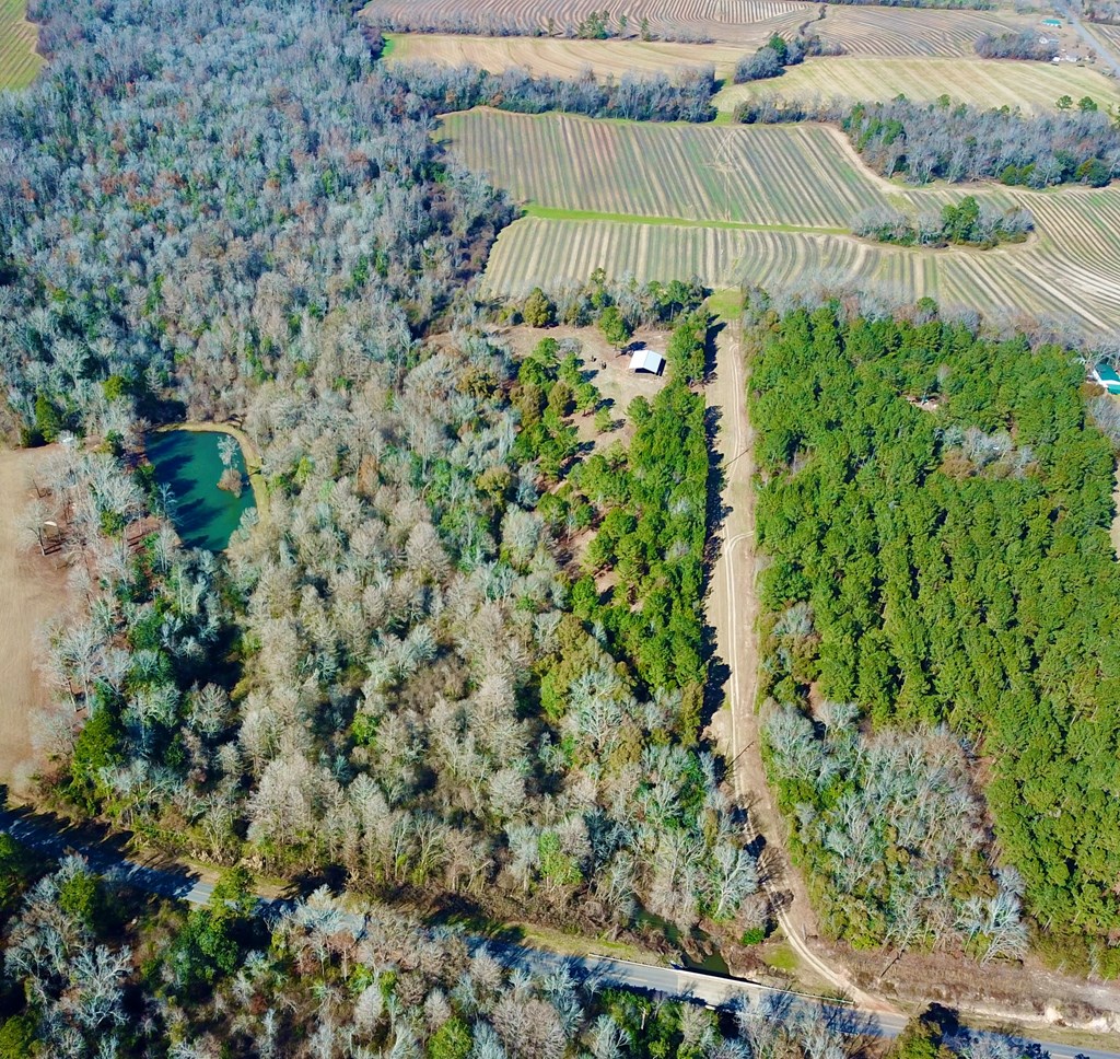 5345 Lucy Grade    19 Acres, Ashford, Alabama image 23