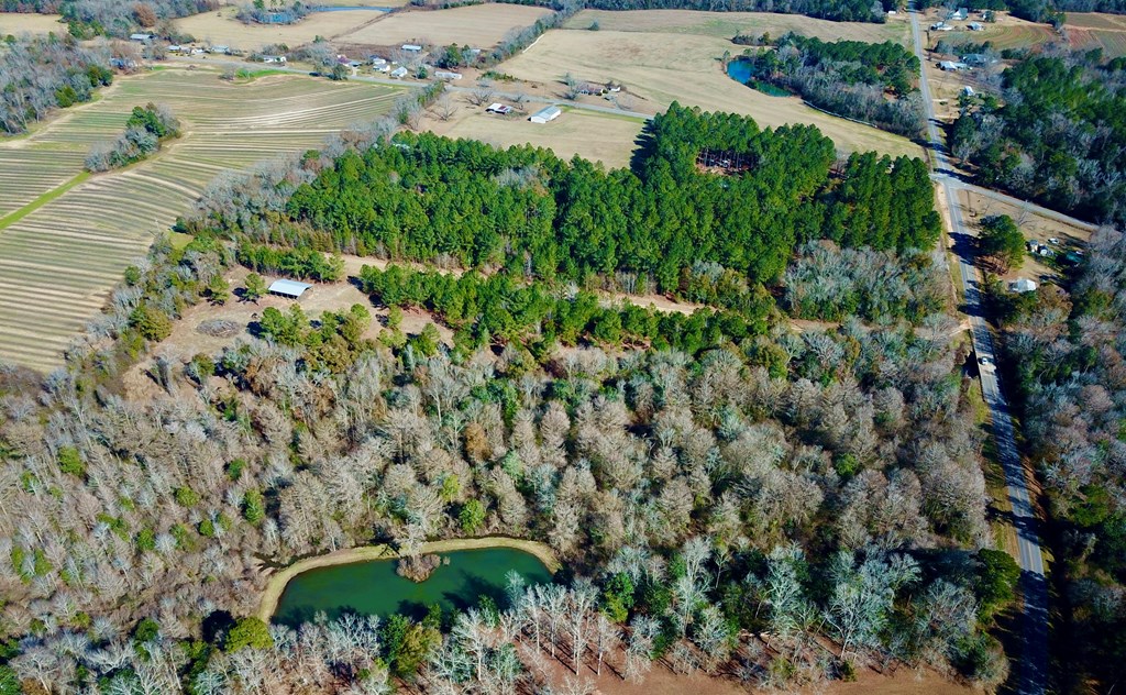 5345 Lucy Grade    19 Acres, Ashford, Alabama image 43