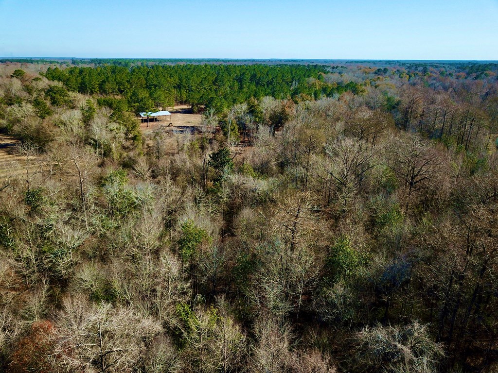 5345 Lucy Grade    19 Acres, Ashford, Alabama image 29