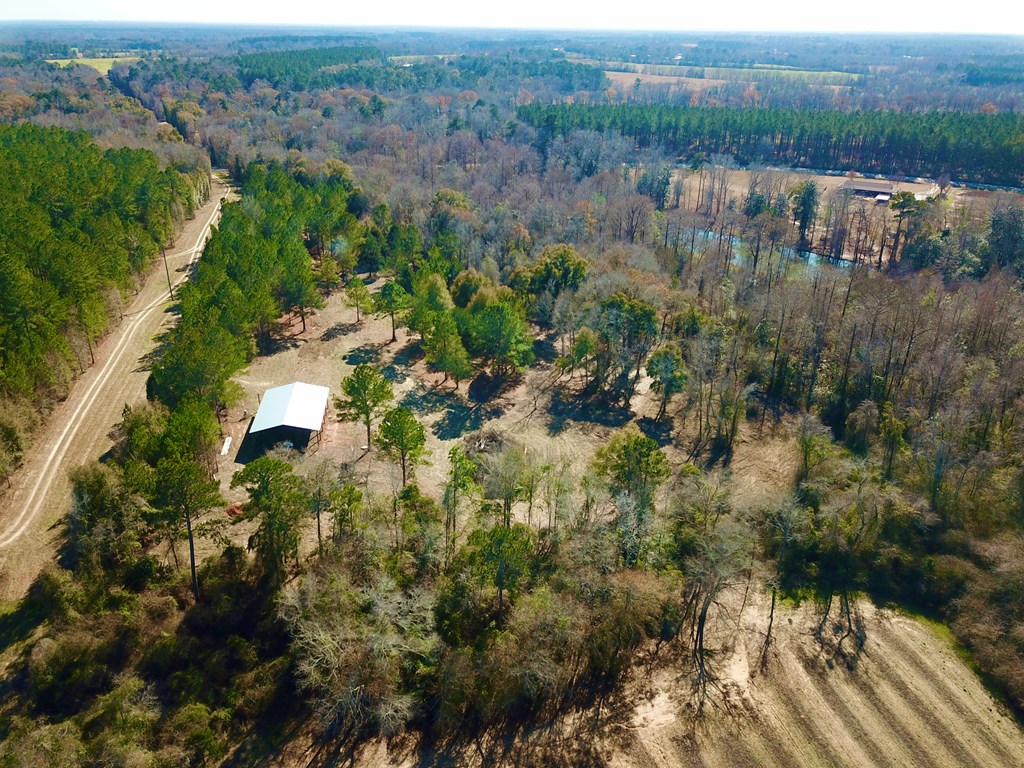 5345 Lucy Grade    19 Acres, Ashford, Alabama image 16