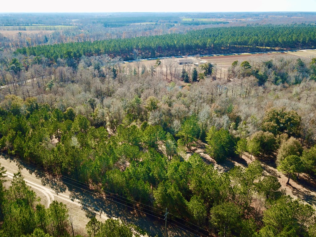 5345 Lucy Grade    19 Acres, Ashford, Alabama image 34