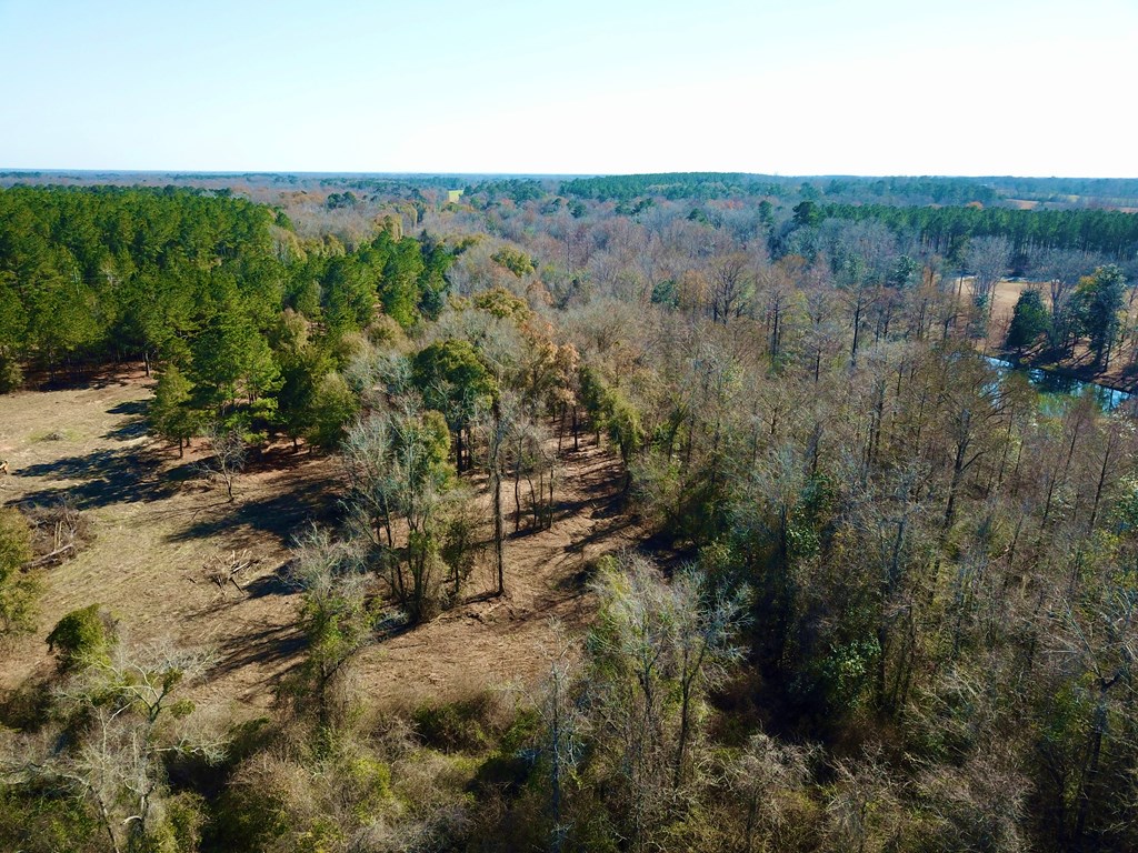 5345 Lucy Grade    19 Acres, Ashford, Alabama image 32