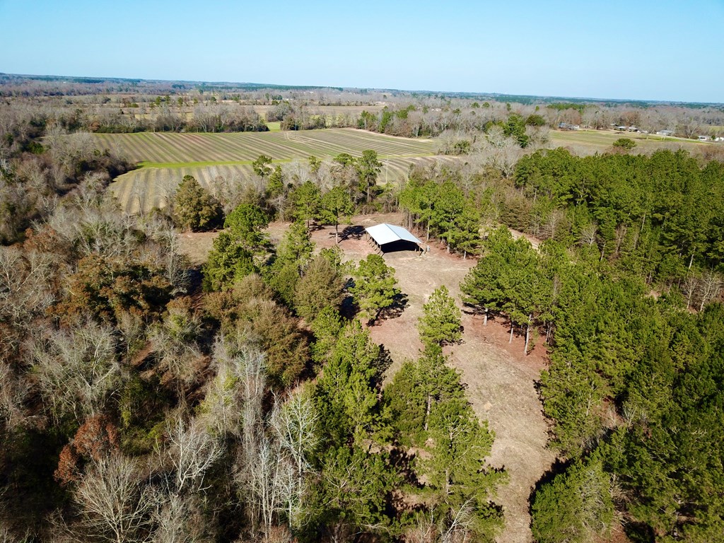 5345 Lucy Grade    19 Acres, Ashford, Alabama image 15