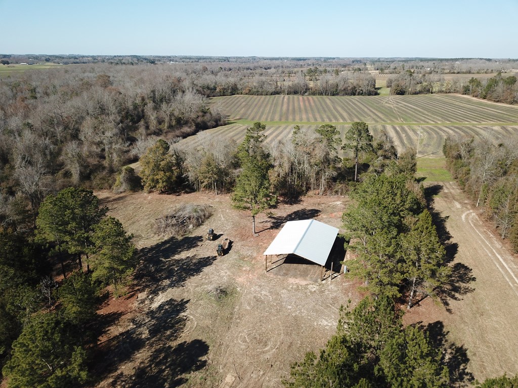 5345 Lucy Grade    19 Acres, Ashford, Alabama image 41