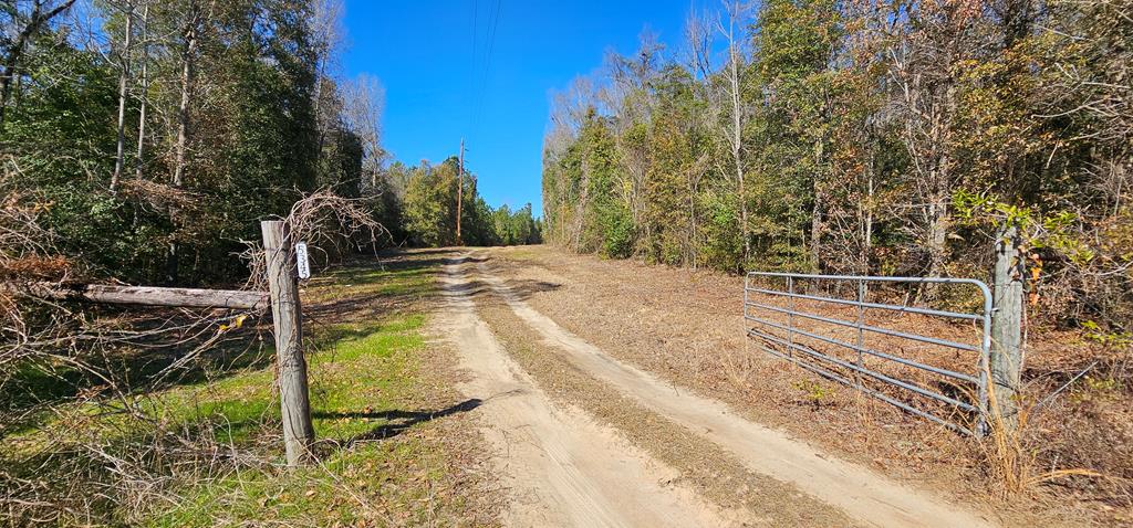 5345 Lucy Grade    19 Acres, Ashford, Alabama image 12