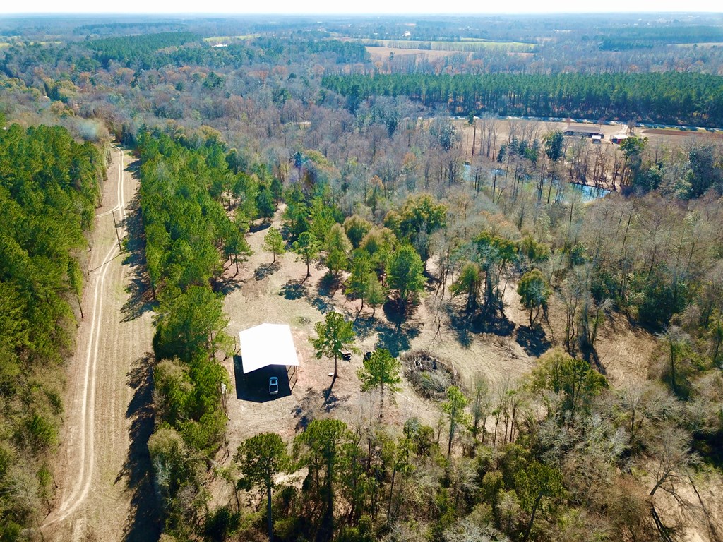 5345 Lucy Grade    19 Acres, Ashford, Alabama image 3