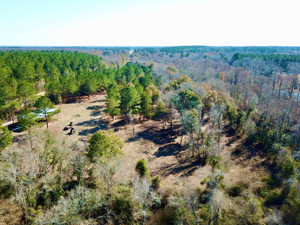 5345 Lucy Grade    19 Acres, Ashford, Alabama image 20