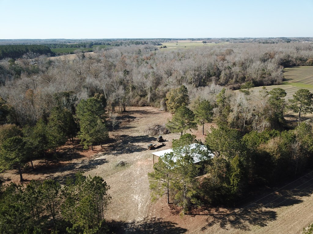 5345 Lucy Grade    19 Acres, Ashford, Alabama image 14