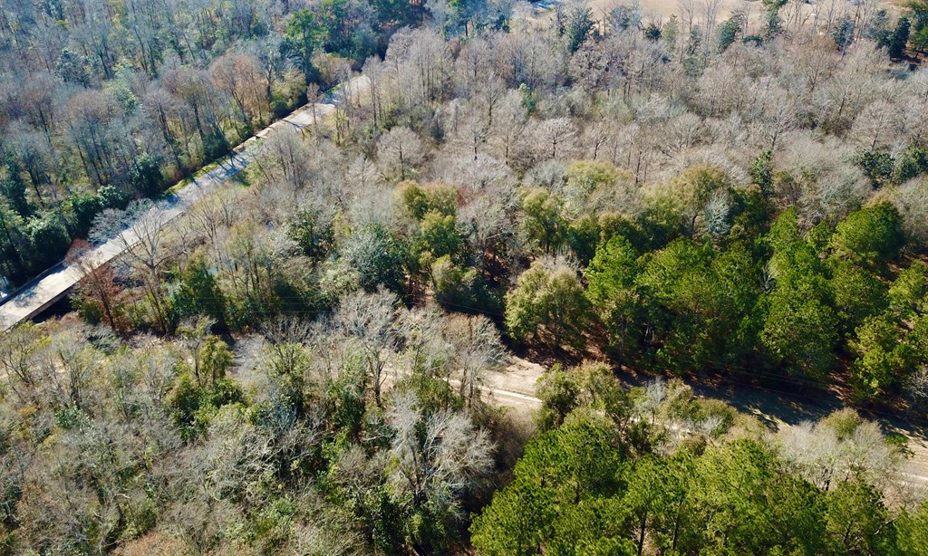 5345 Lucy Grade    19 Acres, Ashford, Alabama image 40