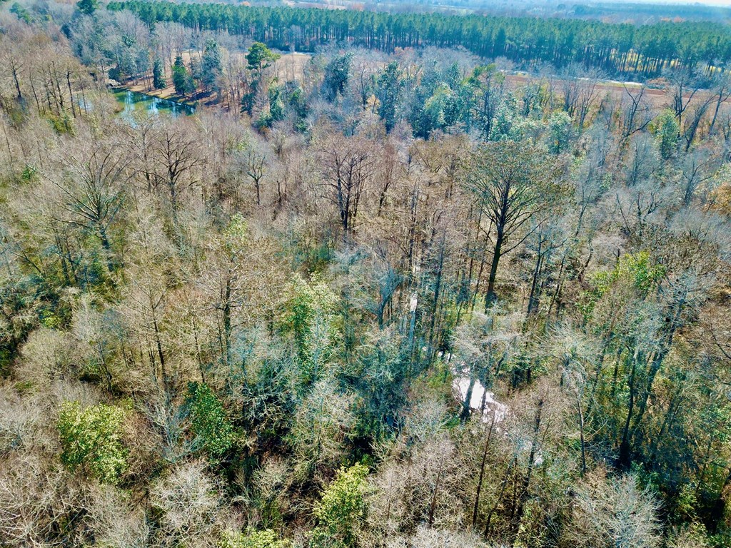 5345 Lucy Grade    19 Acres, Ashford, Alabama image 30