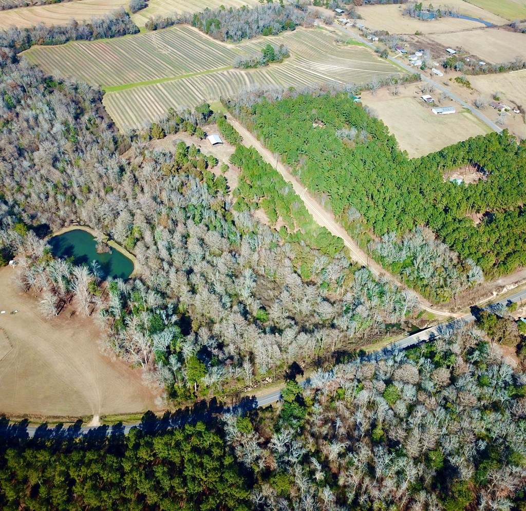 5345 Lucy Grade    19 Acres, Ashford, Alabama image 18