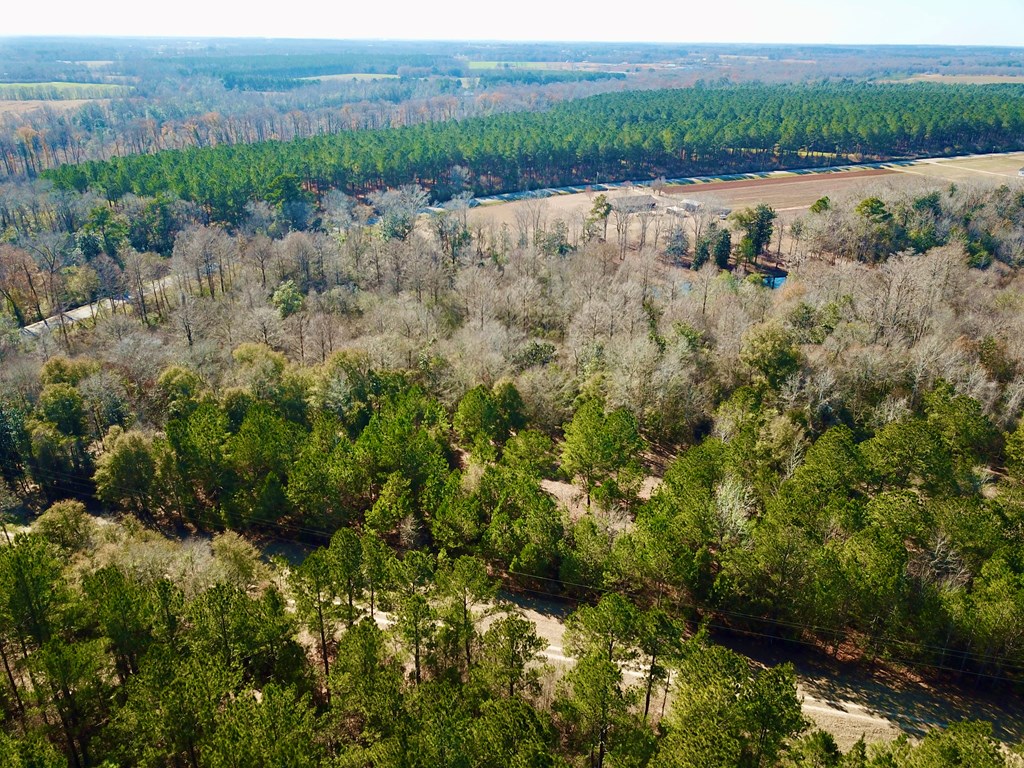 5345 Lucy Grade    19 Acres, Ashford, Alabama image 42