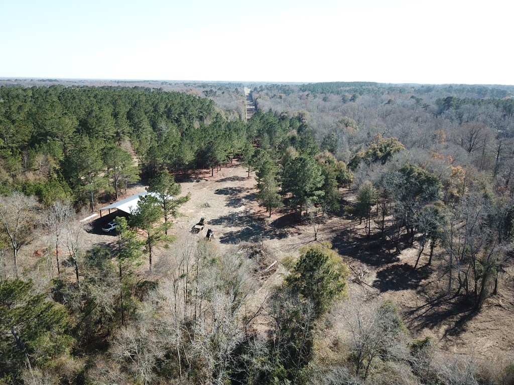 5345 Lucy Grade    19 Acres, Ashford, Alabama image 21