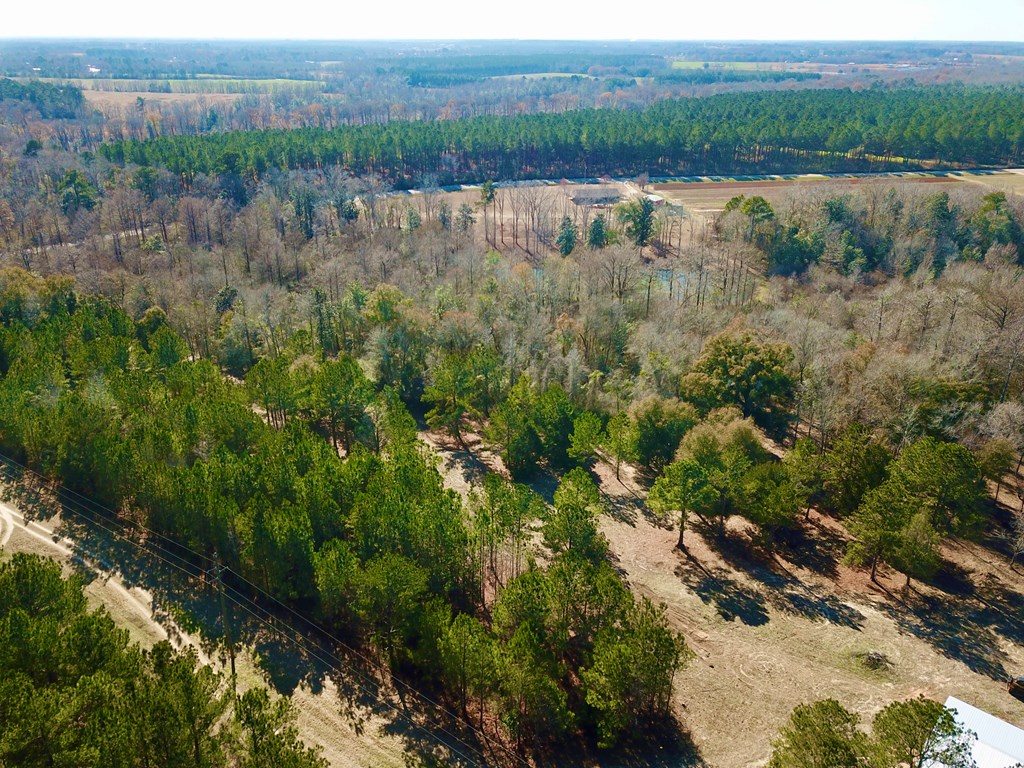 5345 Lucy Grade    19 Acres, Ashford, Alabama image 33