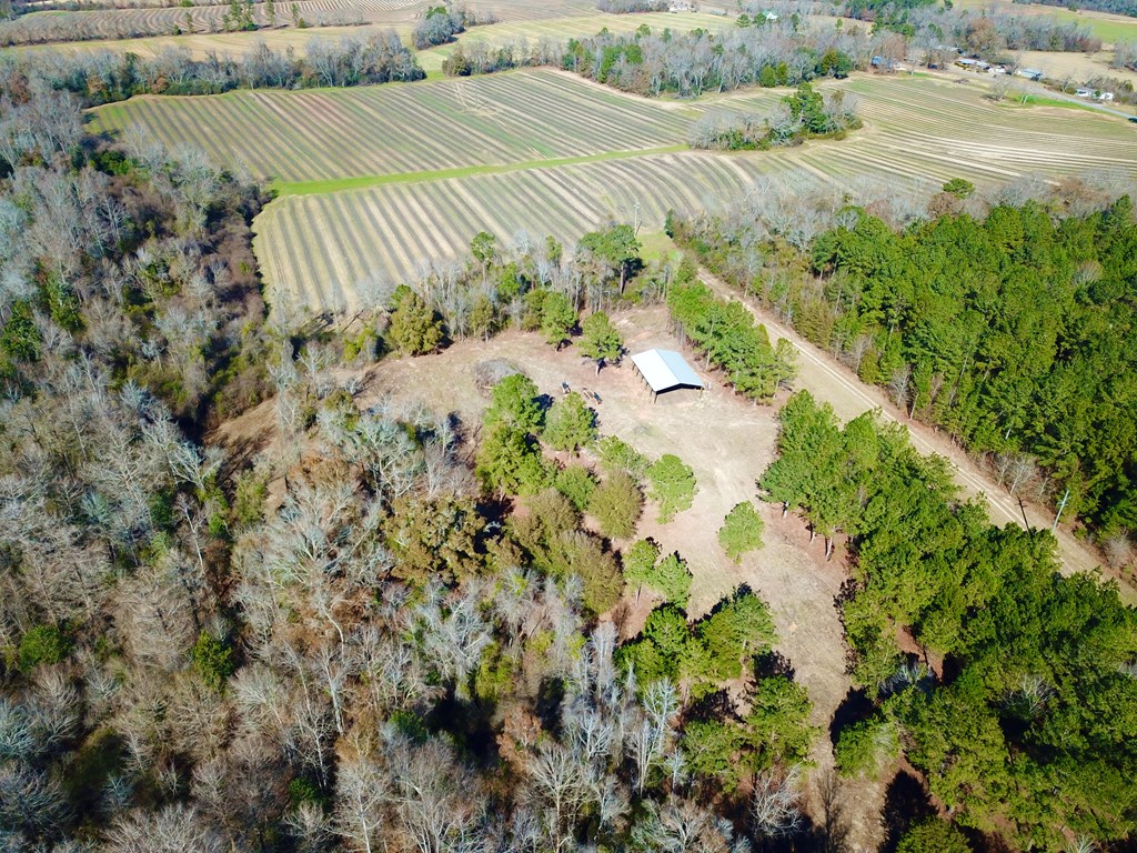 5345 Lucy Grade    19 Acres, Ashford, Alabama image 19