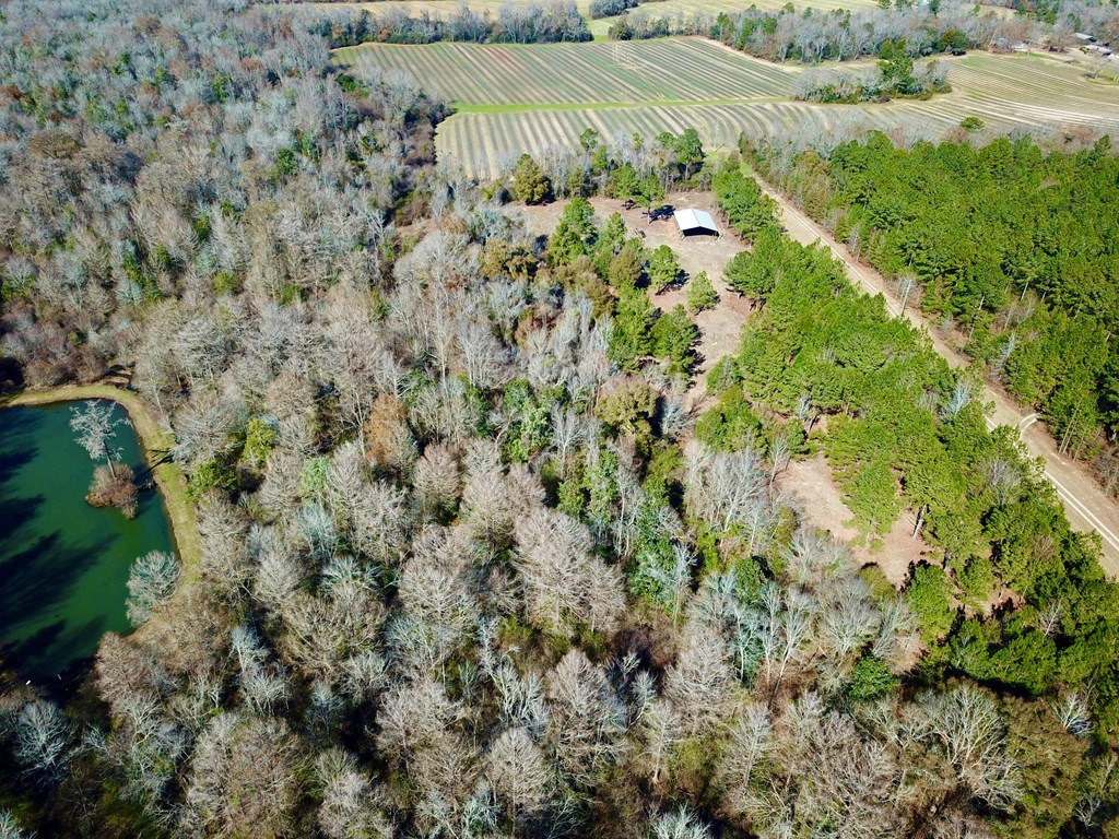 5345 Lucy Grade    19 Acres, Ashford, Alabama image 22