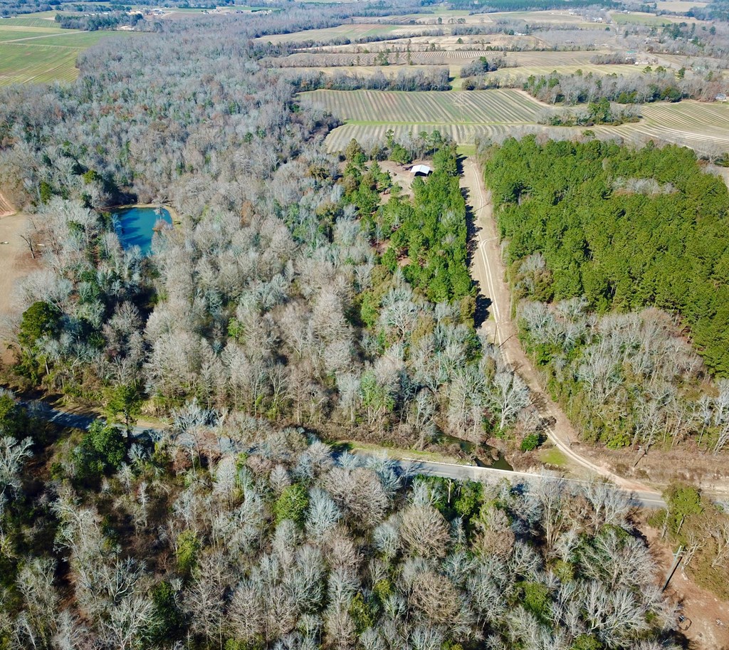 5345 Lucy Grade    19 Acres, Ashford, Alabama image 44