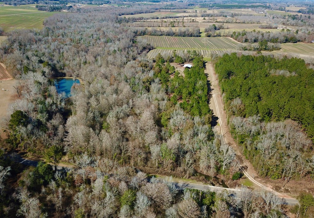 5345 Lucy Grade    19 Acres, Ashford, Alabama image 46