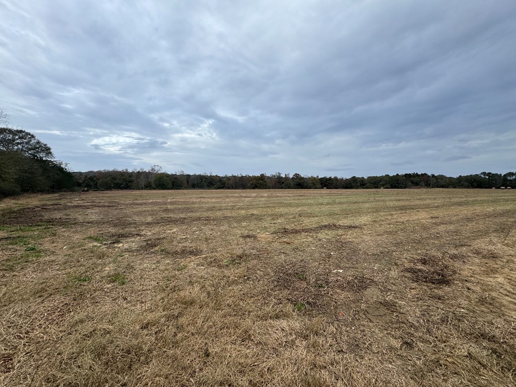 1041 & 0 County Road 73, Slocomb, Alabama image 5