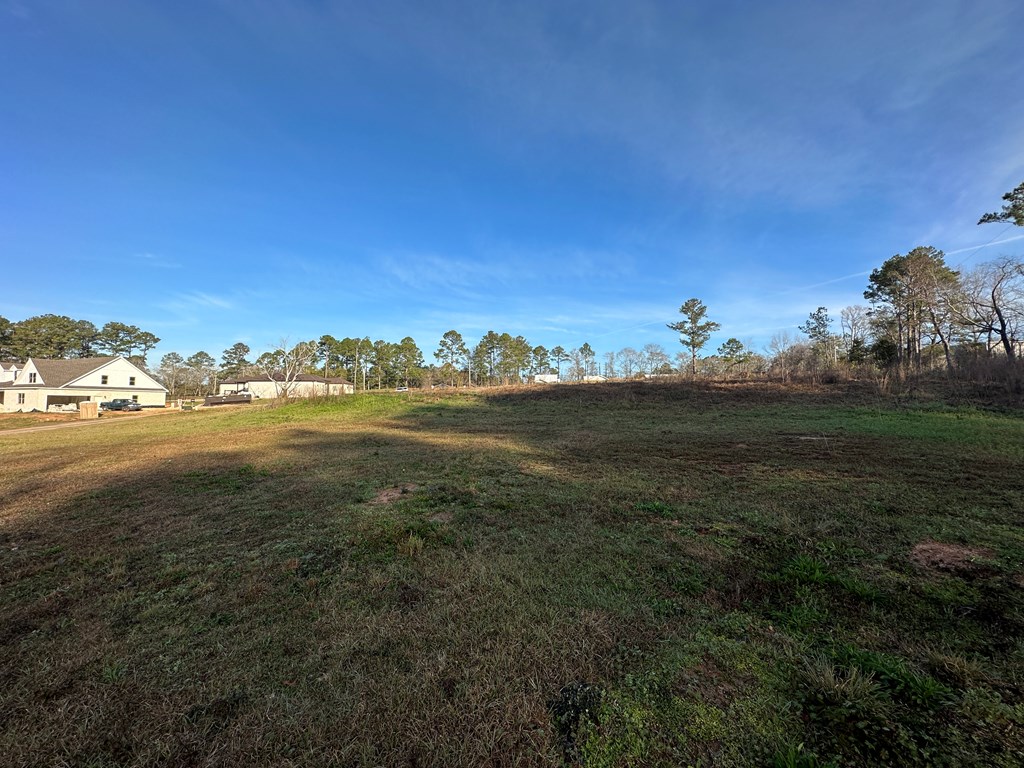 Pendragon Place, Dothan, Alabama image 15