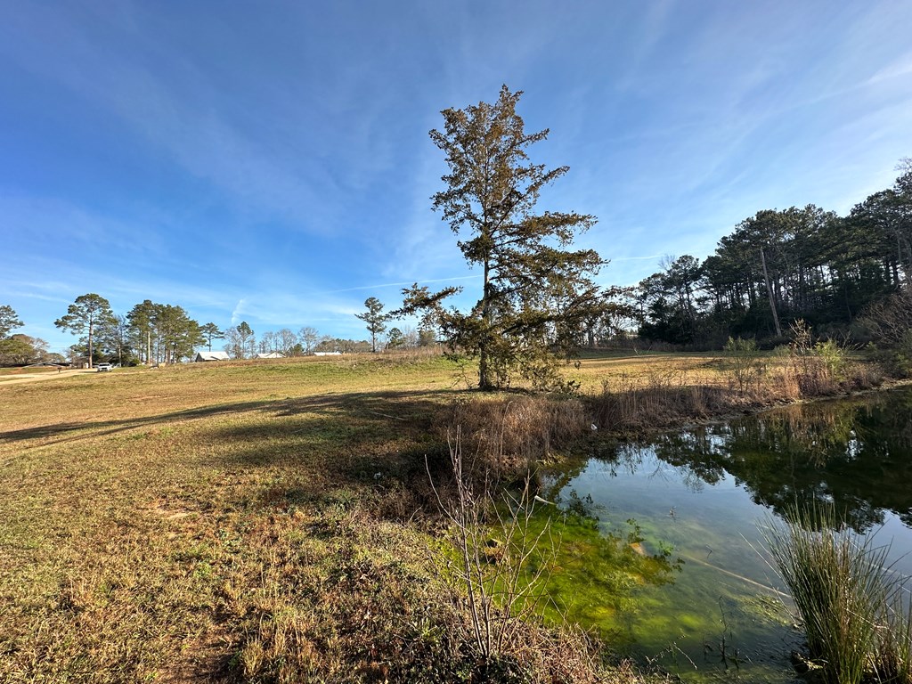 Pendragon Place, Dothan, Alabama image 12