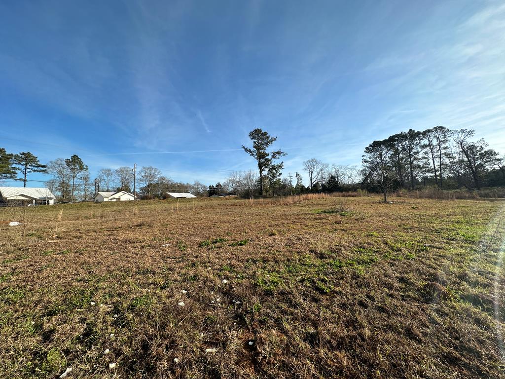 Pendragon Place, Dothan, Alabama image 4