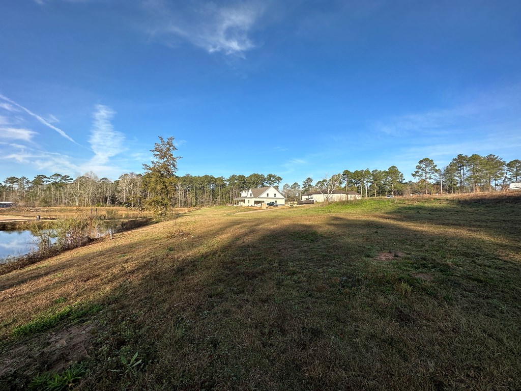 Pendragon Place, Dothan, Alabama image 14