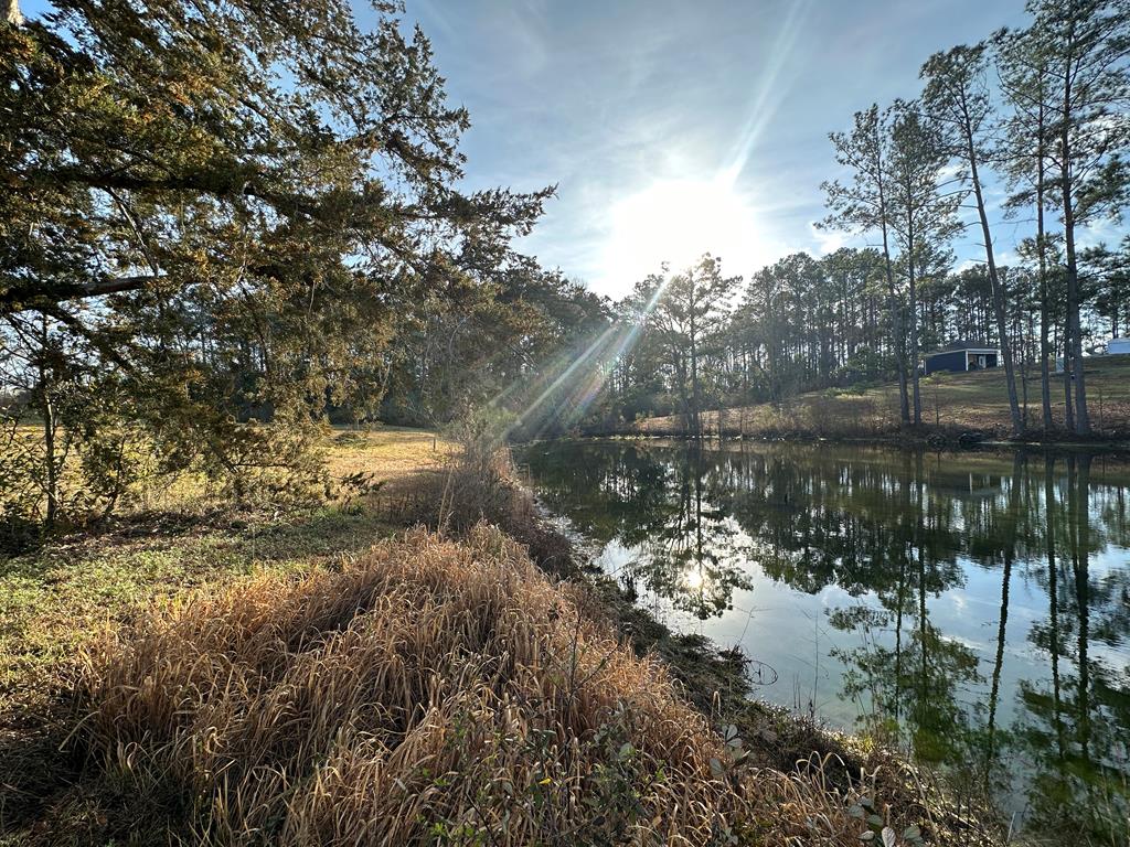 Pendragon Place, Dothan, Alabama image 1