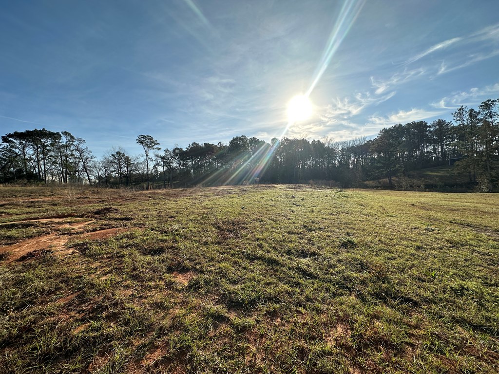 Pendragon Place, Dothan, Alabama image 9