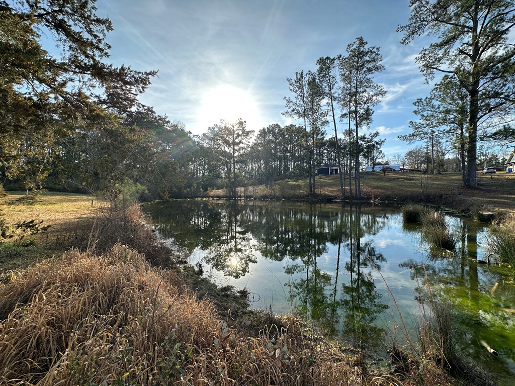 Pendragon Place, Dothan, Alabama image 13