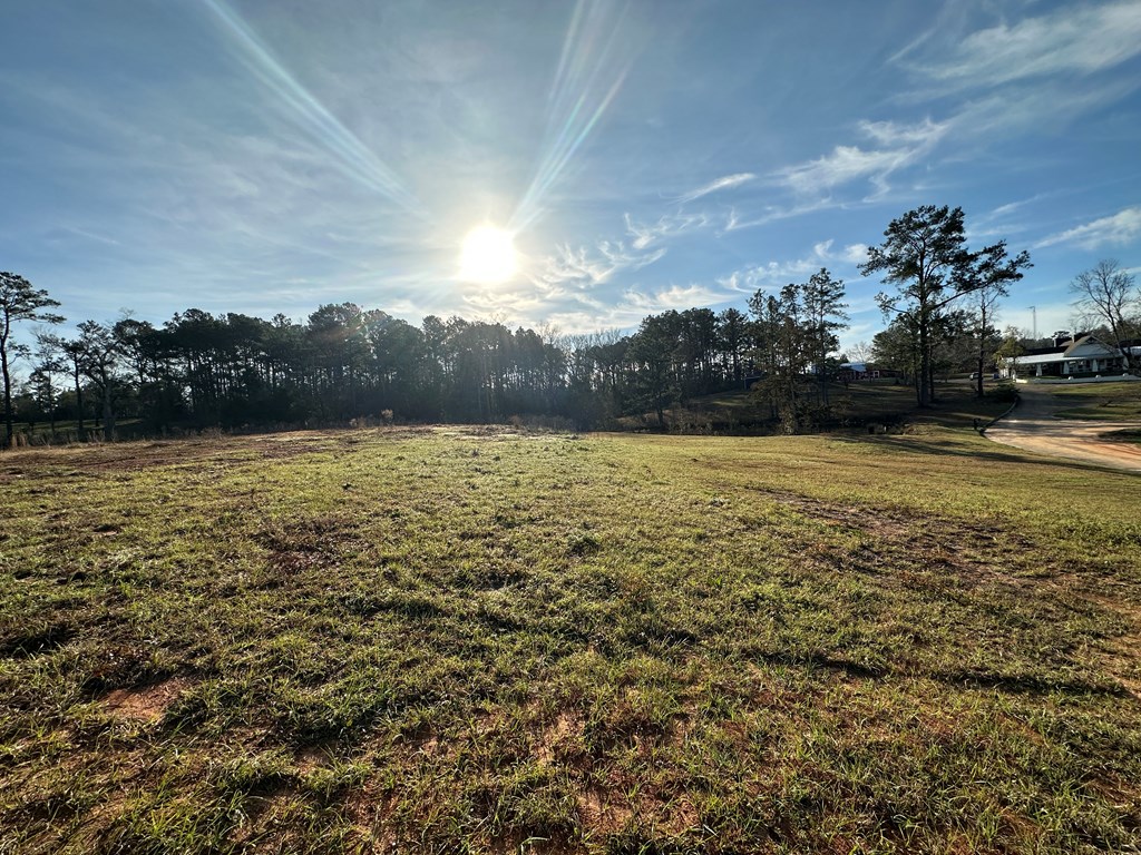 Pendragon Place, Dothan, Alabama image 10