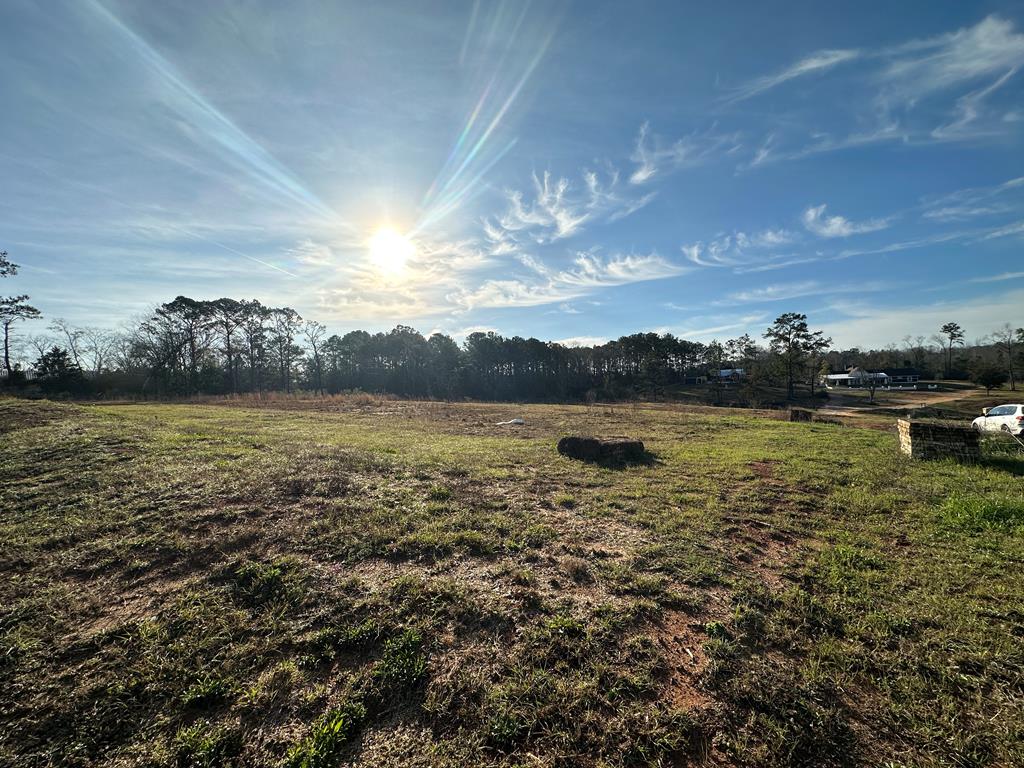 Pendragon Place, Dothan, Alabama image 5
