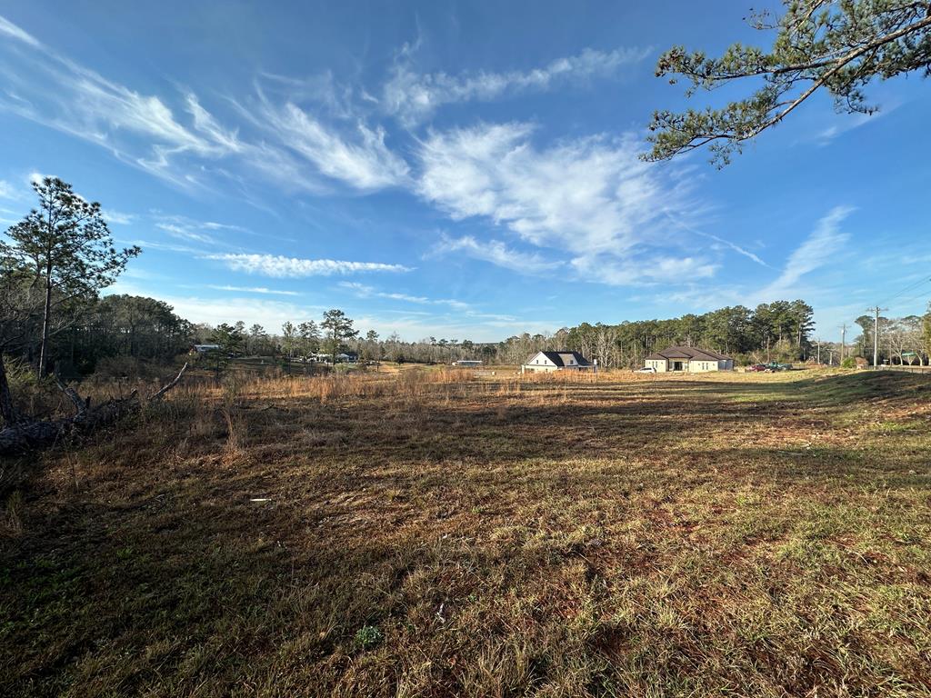 Pendragon Place, Dothan, Alabama image 3
