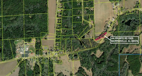 Vacant Land For Sale - 44 Private Road 1325<br/> Dale County, Skipperville, AL 36374