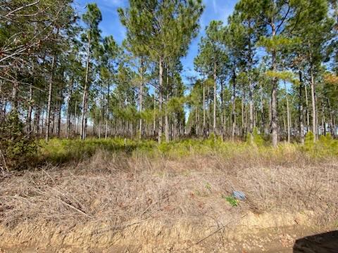 Huskey Rd, Dothan, Alabama image 1