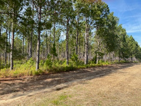 Huskey Rd, Dothan, Alabama image 2