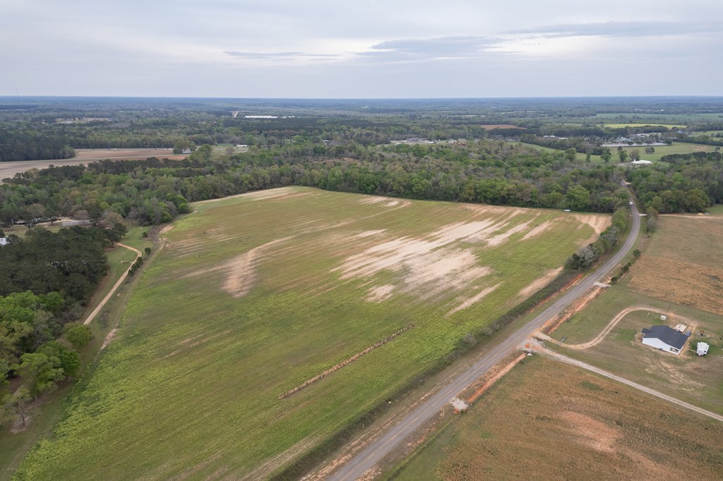 4.05 Acres Singletary Rd Lot 3, Slocomb, Alabama image 2