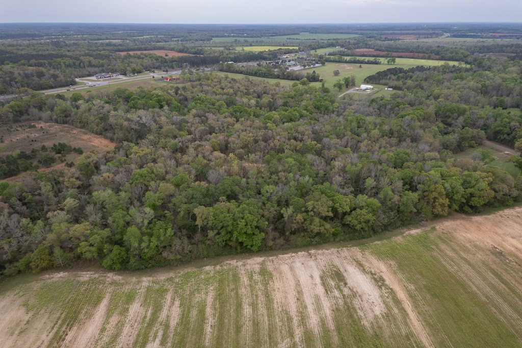 4.05 Acres Singletary Rd Lot 3, Slocomb, Alabama image 11