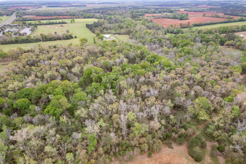 4.05 Acres Singletary Rd Lot 3, Slocomb, Alabama image 14