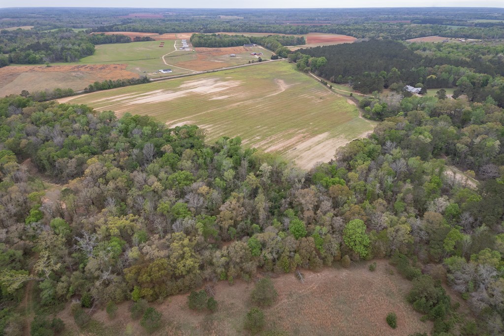 4.05 Acres Singletary Rd Lot 3, Slocomb, Alabama image 9