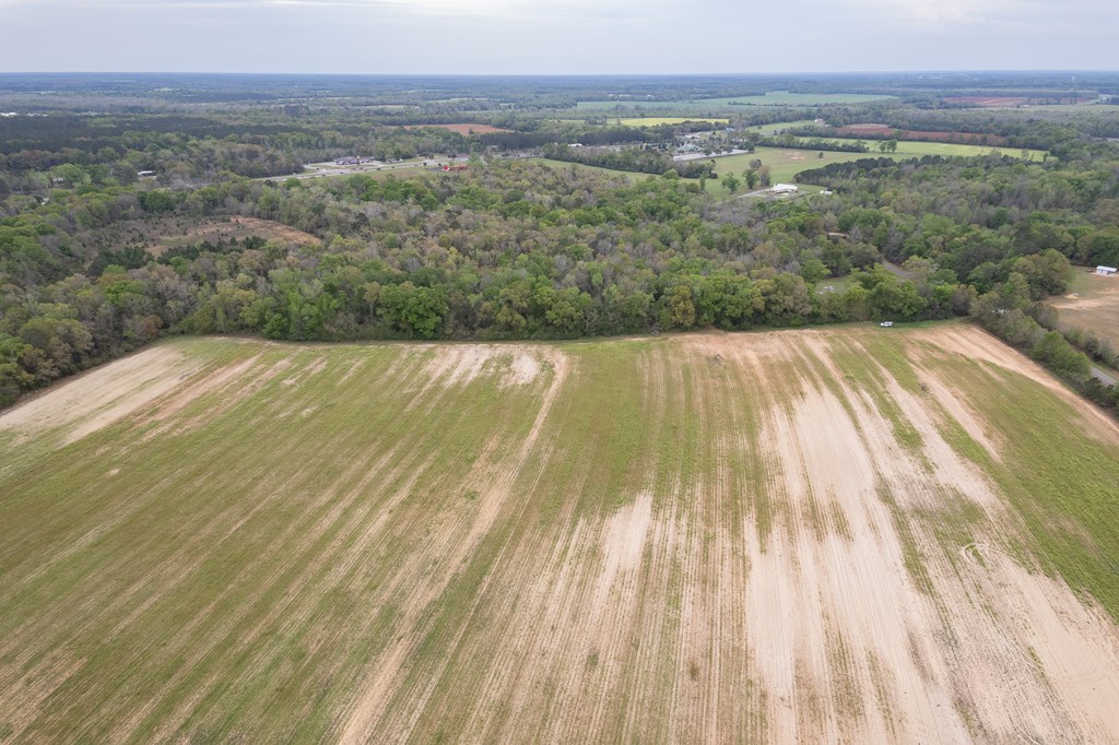 4.05 Acres Singletary Rd Lot 3, Slocomb, Alabama image 10